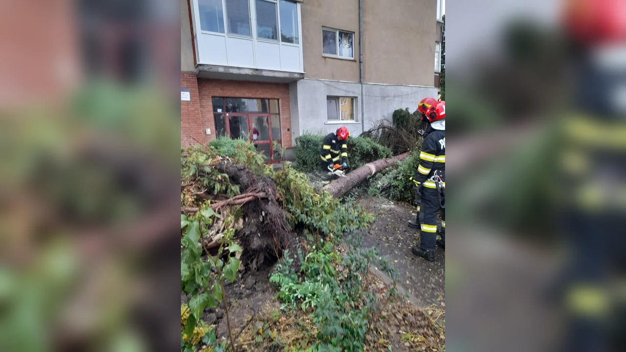 Covasna: 35 de misiuni ISU, inclusiv arbori căzuți în Sfântu Gheorghe